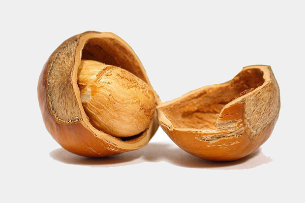 le nocciole