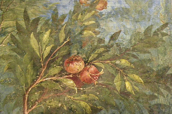 La Nocciola